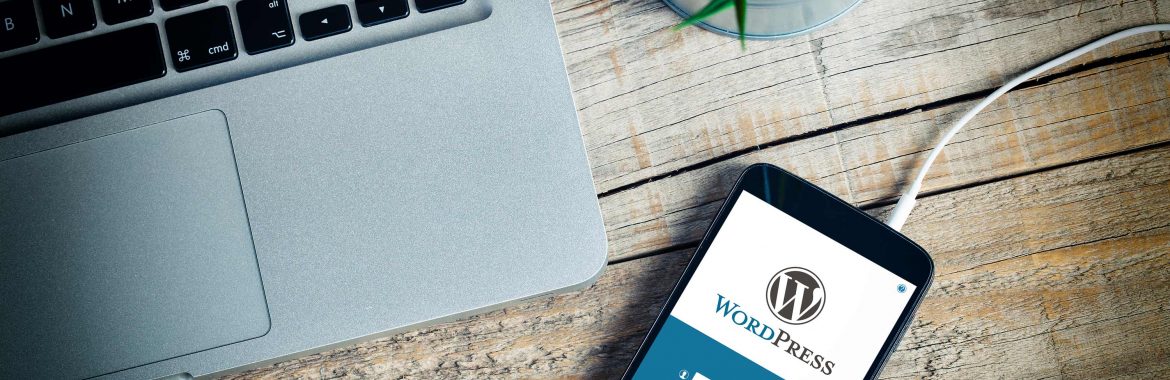 veetira-web-development-post-img